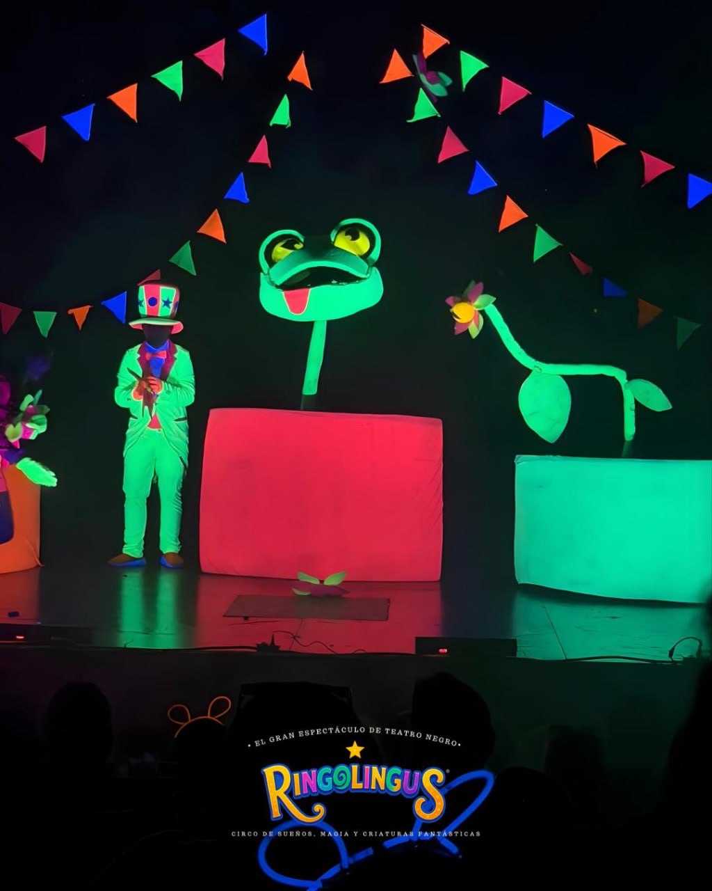 Ringolingus Tlalnepantla — galería 2